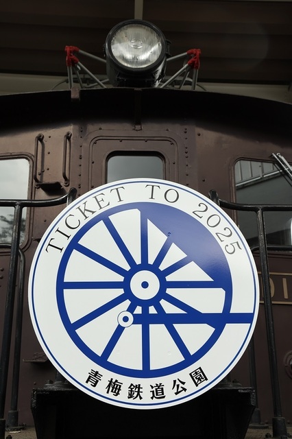 011_msi00007000.JPG