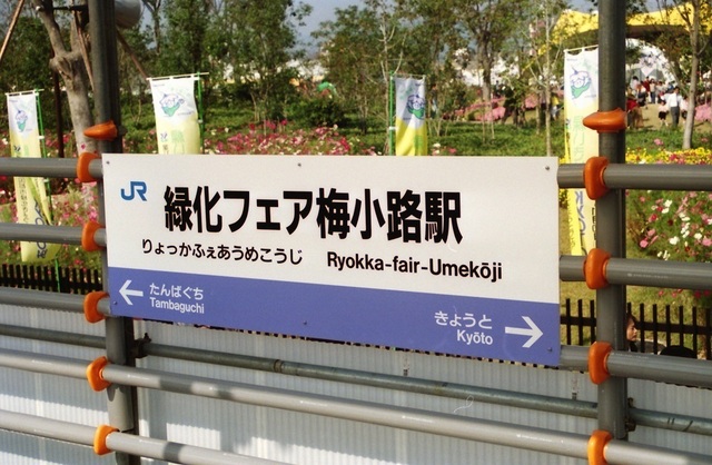 012_199411_kyoto_umekoji0_22.jpeg