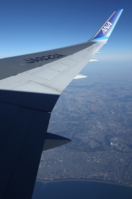 013_msi00008029.JPG