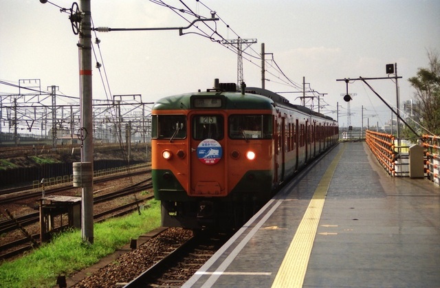 014_199411_kyoto_umekoji0_24.jpeg