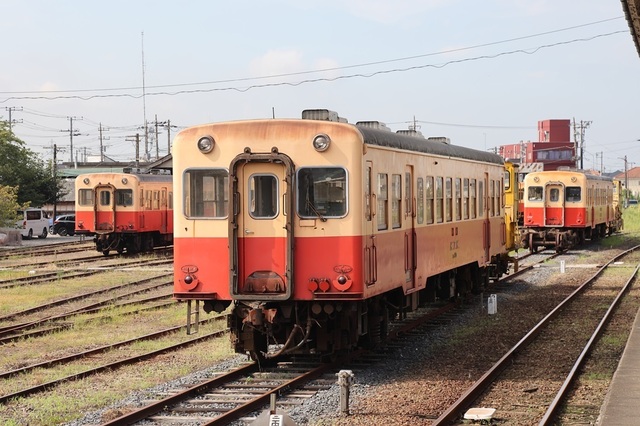 015_vct00000458.JPG