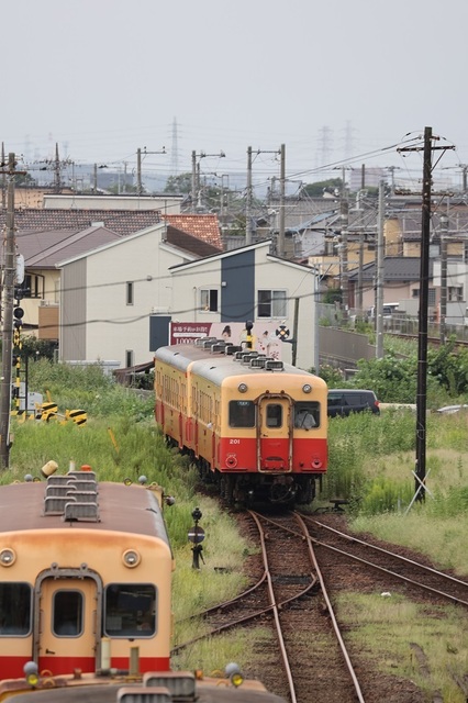 018_vct00000585.JPG