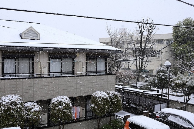 041_DPP_00007540.JPG