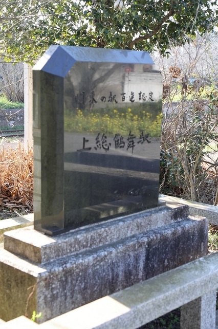 041_msi00008516.JPG