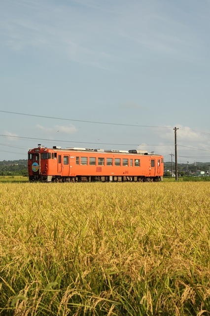 043_vct00000445.JPG