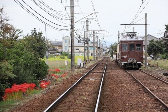 04_DPP200000055.JPG