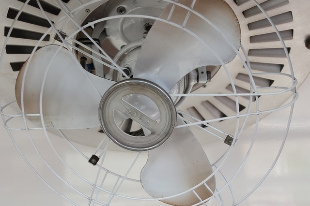 084_msi00002881.JPG