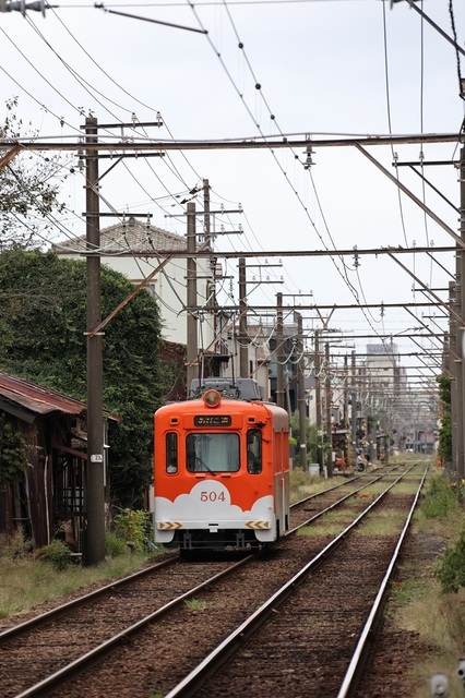 086_vct00000679.JPG