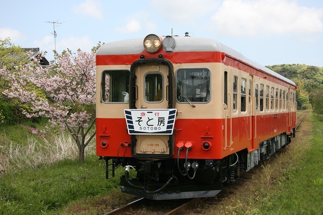 08_IMG_9962.JPG