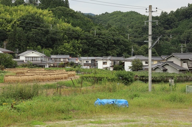 096_DPP_00008152.JPG