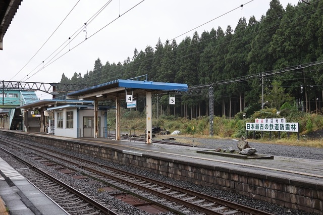 138_vct00000739.JPG