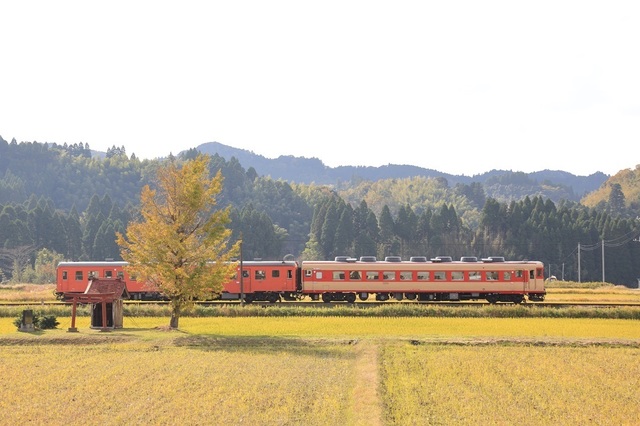 281_vct00000873.JPG