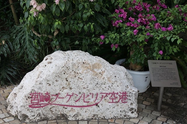 286_vct00000383.JPG