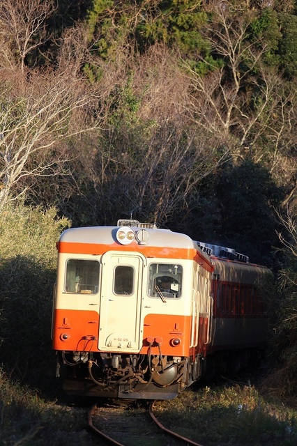 306_s5_DPP_00006956.JPG