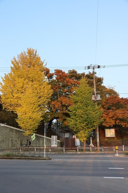 316_msi00007751.JPG