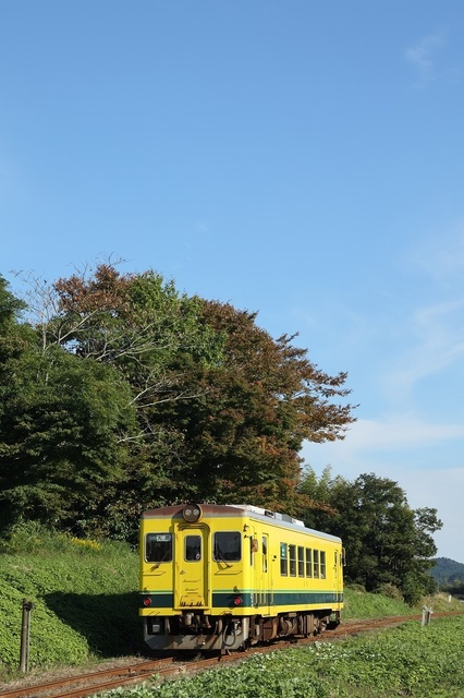33_msi00005454.JPG