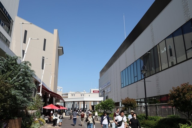 355_msi00009033.JPG