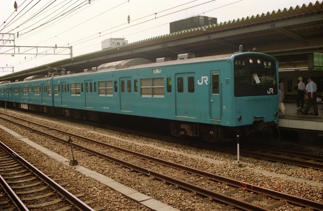 3_199108bara_kyoto_hirosima_04.jpeg
