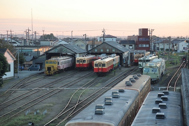45_msi00005463.JPG
