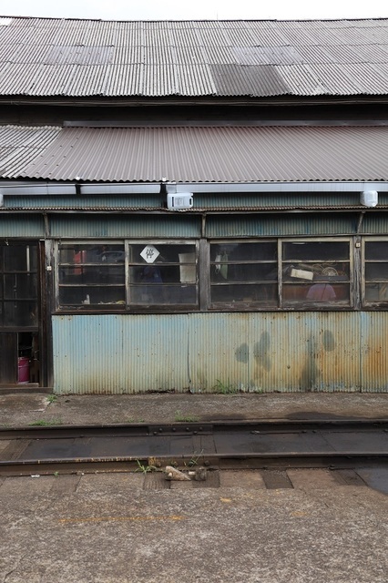 46_DPP_00007782.JPG