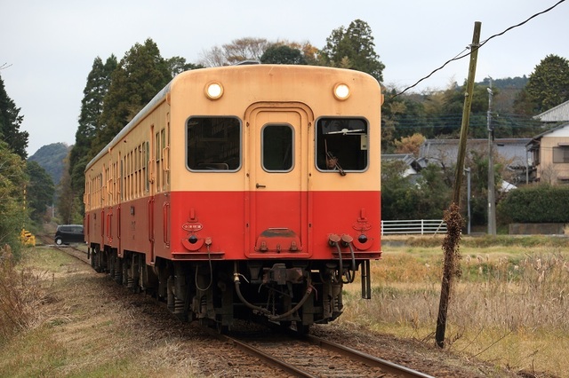 508_DPP_00002441.JPG