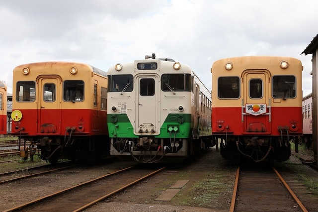 54_DPP_00007787.JPG