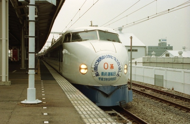 5_199908_0kei_kodama_07.jpeg