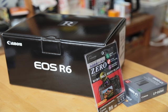 msi00002175.JPG