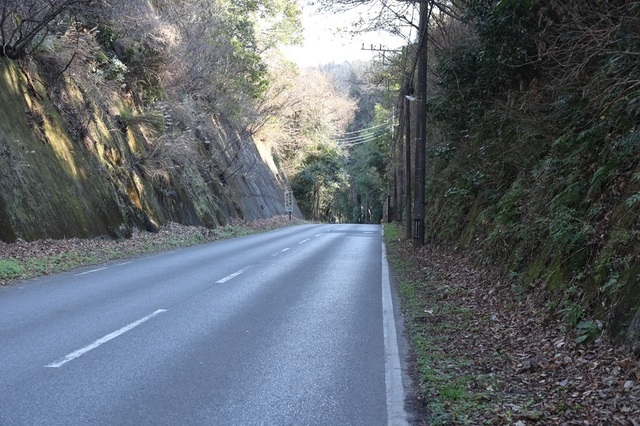 s05_msi00007872.JPG