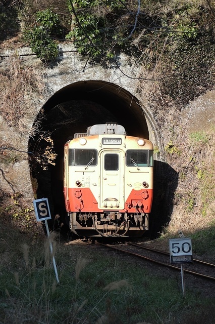 s06_msi00007876.JPG