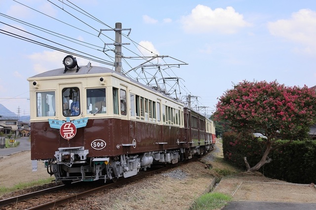 s1_DPP_00008003.JPG