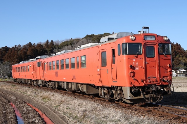 s1_msi00008333.JPG