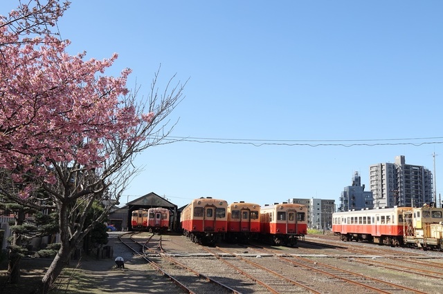 s2_msi00008336.JPG