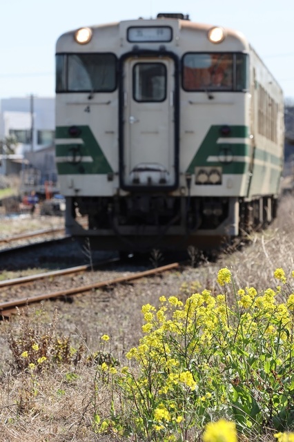 s3_msi00008330.JPG