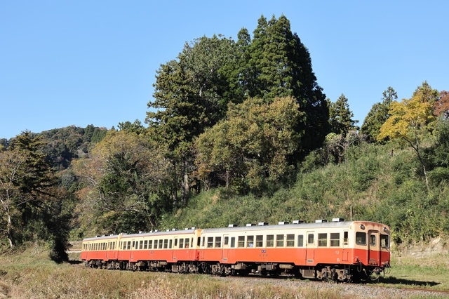 s3_vct00000947.JPG