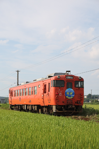 s4_200A2621.JPG