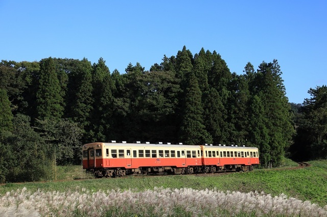 s4_DPP200000013.JPG