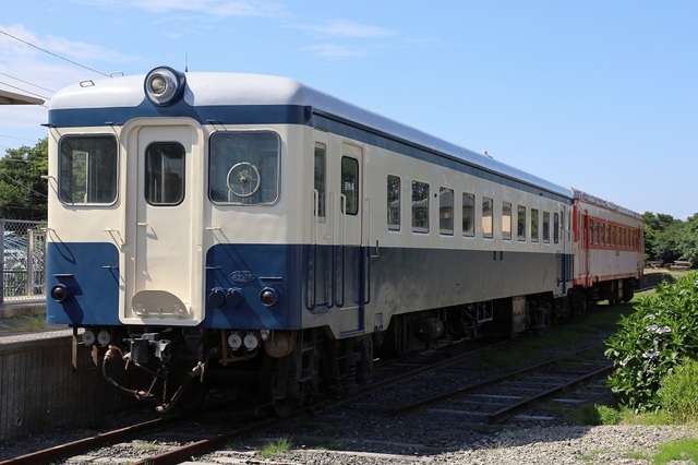 s4_msi00001471.JPG