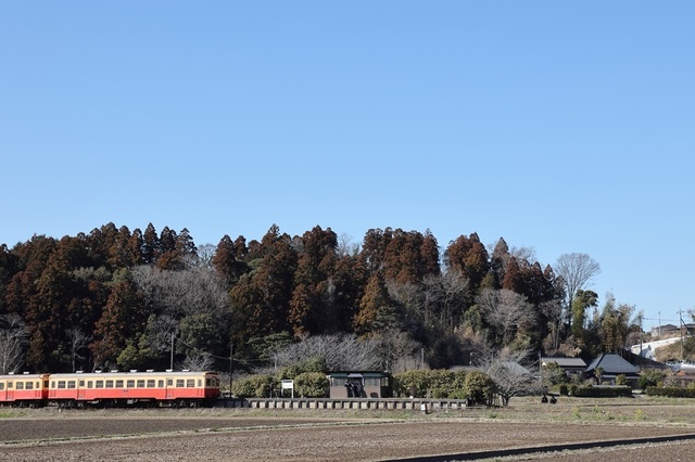 s4_msi00008331.JPG