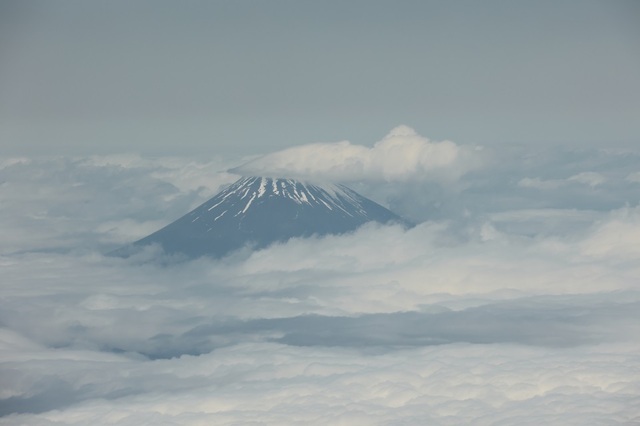 s56_msi00006177.JPG