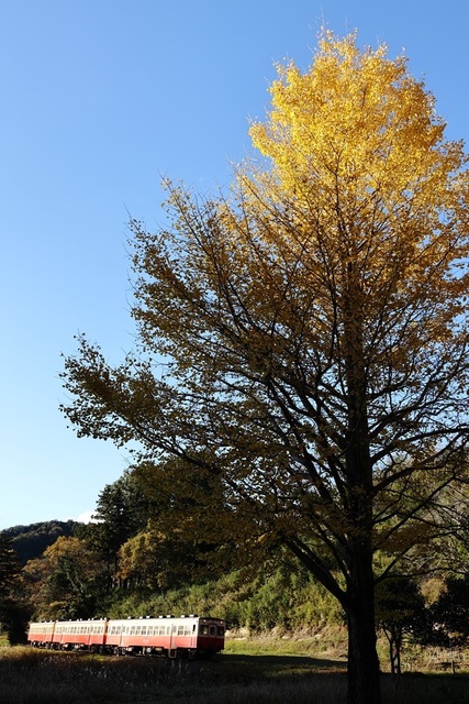 s6_vct00000945.JPG