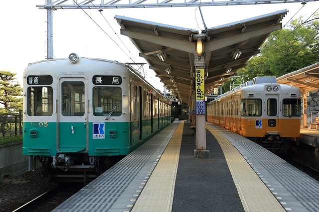 y4_DPP_00007998.JPG