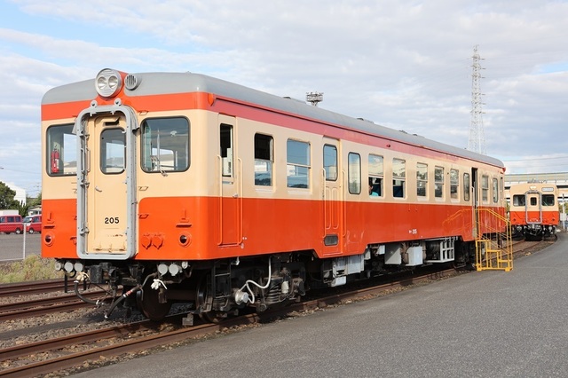 y4_msi00007814.JPG